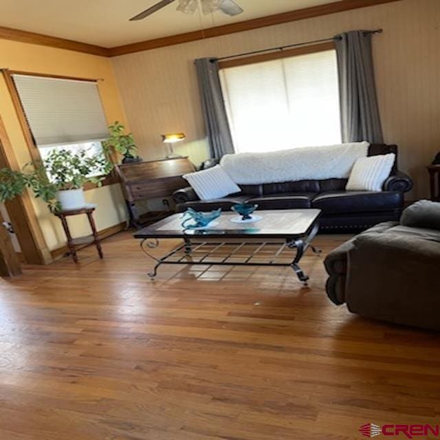 living room with crown molding, ceiling fan, and hardwood / wood-style floors