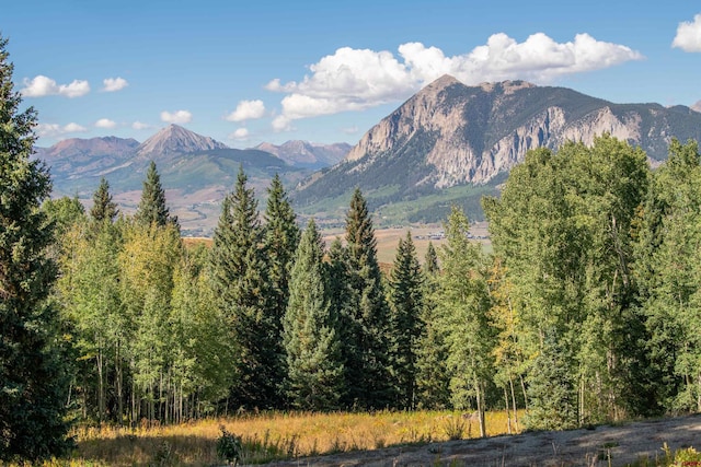 794 Red Mountain Ranch Lower Loop, Crested Butte CO, 81224 land for sale