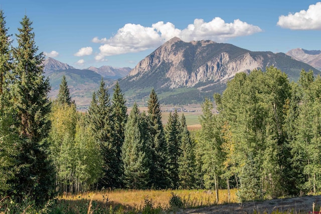 Listing photo 2 for 794 Red Mountain Ranch Lower Loop, Crested Butte CO 81224