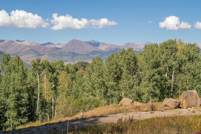 Listing photo 3 for 794 Red Mountain Ranch Lower Loop, Crested Butte CO 81224