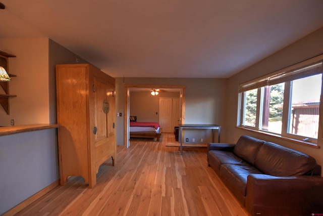 living room featuring light hardwood / wood-style floors