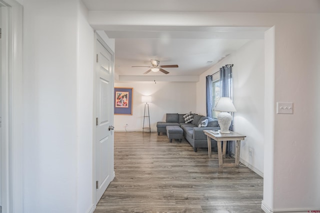 living room with dark hardwood / wood-style flooring and ceiling fan