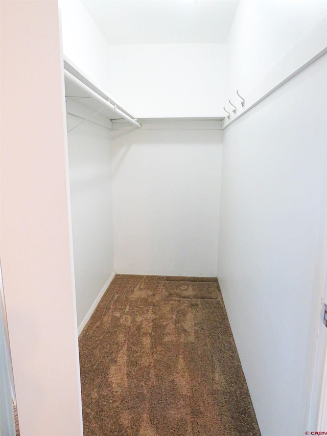 walk in closet featuring dark carpet