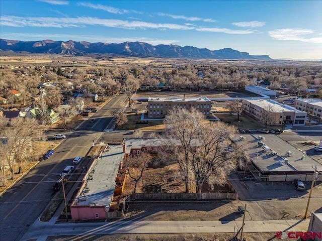 bird's eye view featuring a mountain view