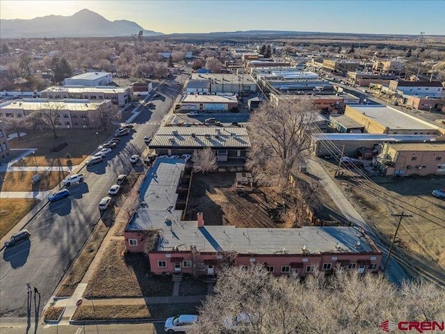 drone / aerial view featuring a mountain view