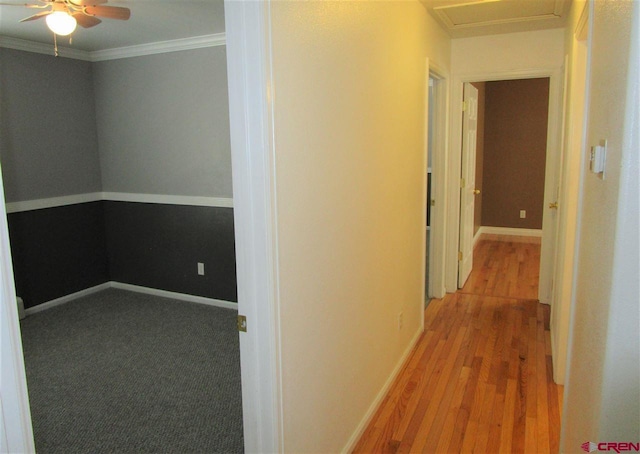 corridor featuring crown molding and light hardwood / wood-style floors