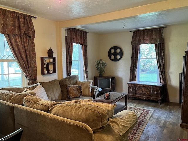 living room with dark hardwood / wood-style flooring and a textured ceiling