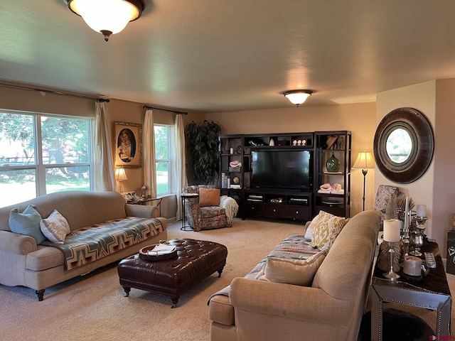 living room with carpet