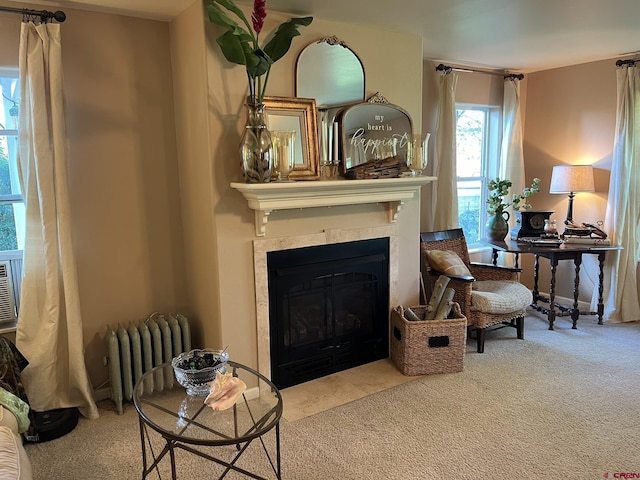 sitting room with radiator and carpet flooring