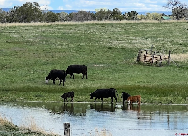 surrounding community featuring a water view and a rural view