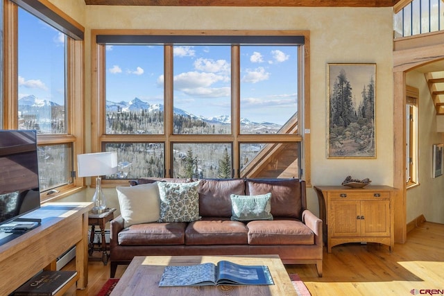 living room featuring a mountain view and light wood-style floors