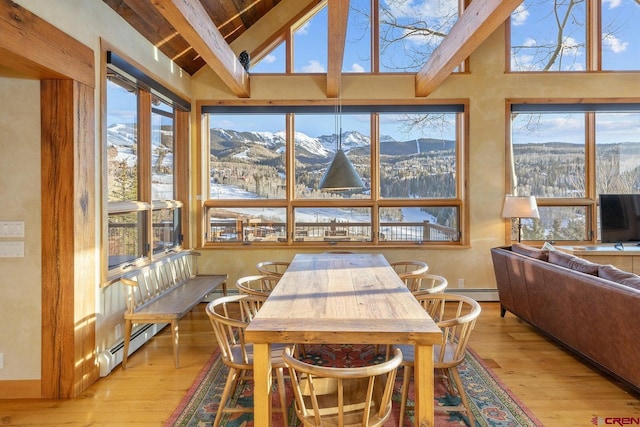 sunroom featuring lofted ceiling and a baseboard radiator