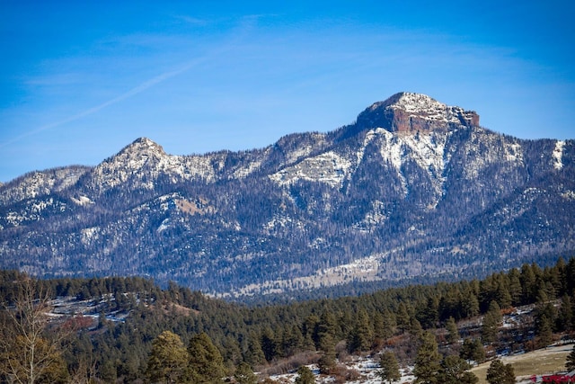 property view of mountains