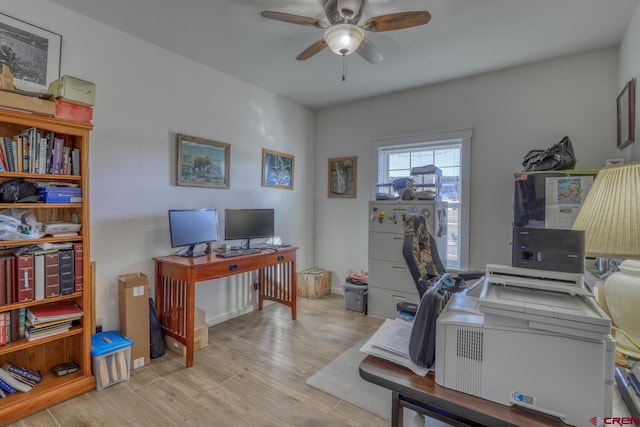 office space with ceiling fan and light hardwood / wood-style flooring