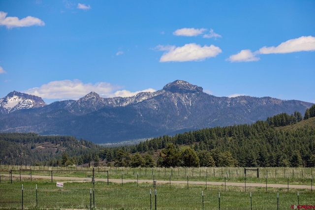 property view of mountains with a rural view