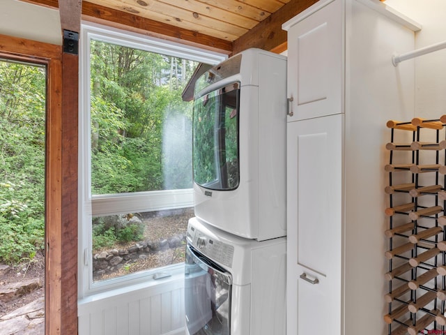 laundry area with cabinets, stacked washing maching and dryer, and a healthy amount of sunlight