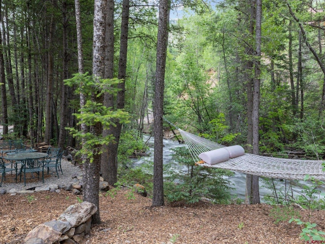 view of yard featuring a water view