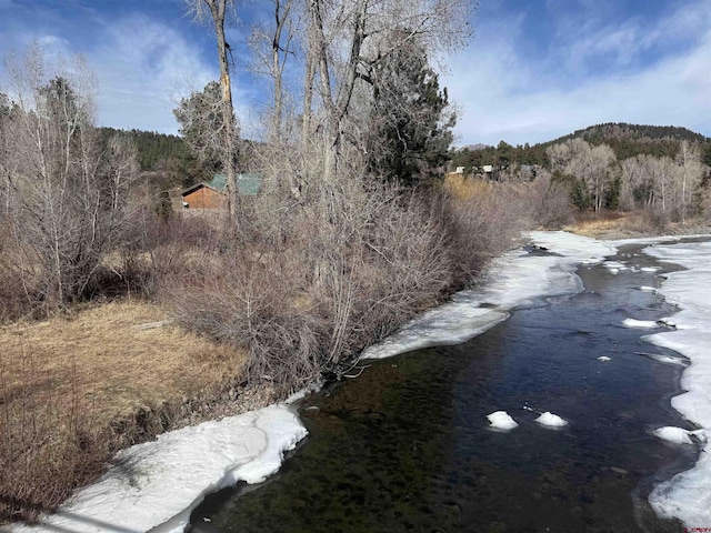 28 Bridge Dr, Pagosa Springs CO, 81147 land for sale