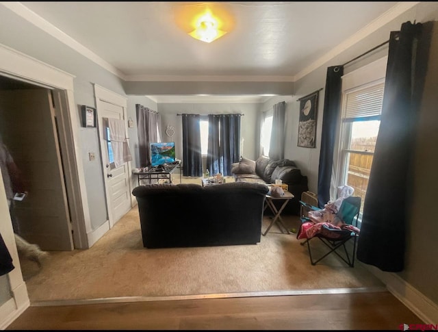 carpeted living room with crown molding