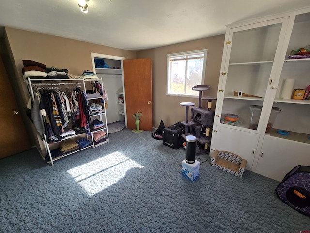 carpeted bedroom featuring a closet