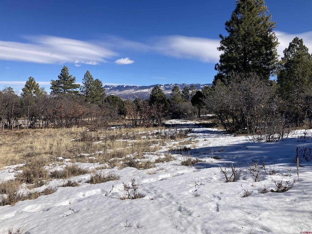 1254 Marmot Dr, Ridgway CO, 81432 land for sale