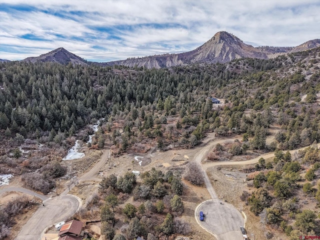 Listing photo 3 for 998 N Hidden Valley Cir, Durango CO 81301