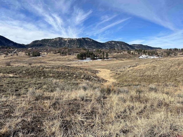 213 Spring Creek Cir, Chromo CO, 81128 land for sale