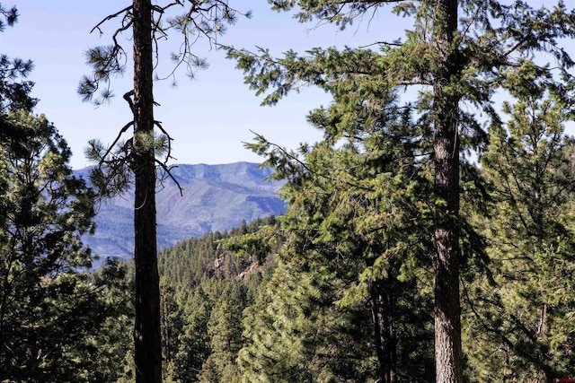 view of mountain feature