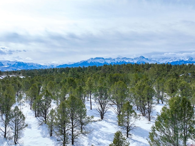 LOT28 Fisher Canyon Dr, Ridgway CO, 81432 land for sale