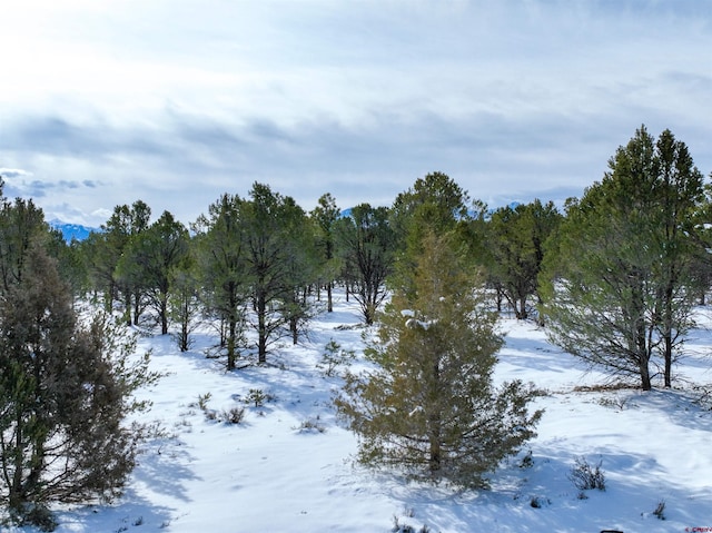 Listing photo 2 for LOT28 Fisher Canyon Dr, Ridgway CO 81432