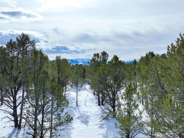 Listing photo 3 for LOT28 Fisher Canyon Dr, Ridgway CO 81432