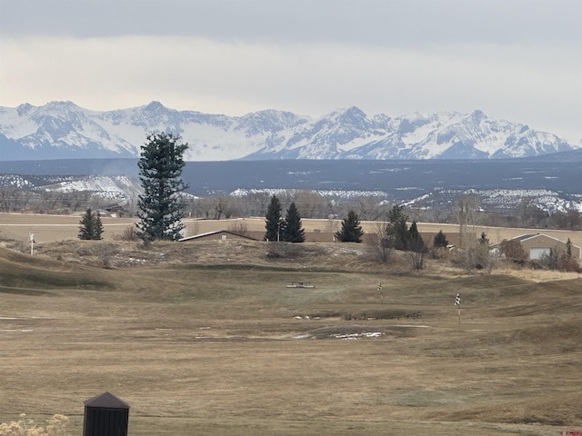 2319 Stone Bridge Dr, Montrose, CO 81401 - view of mountain background