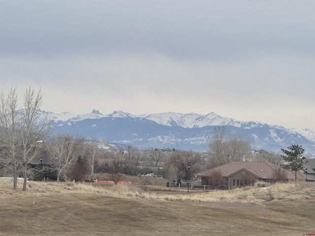 2319 Stone Bridge Dr, Montrose, CO 81401 - view of mountain backdrop