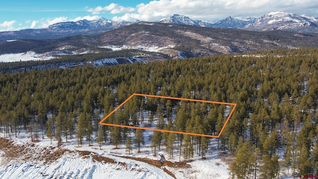 snowy aerial view featuring a mountain view