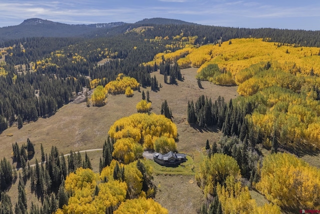 aerial view with a mountain view