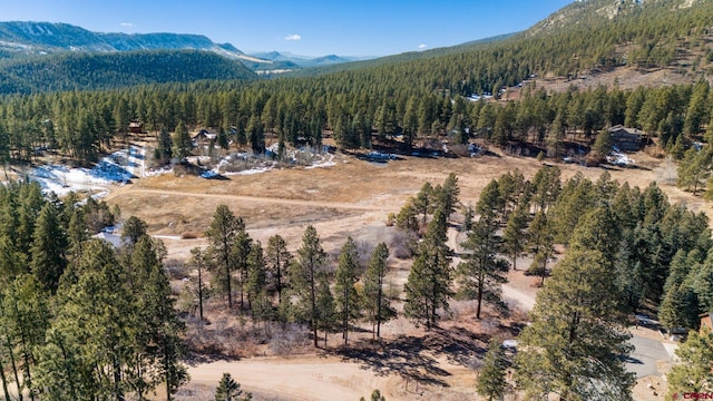 1101 Los Ranchitos Dr, Durango CO, 81301 land for sale