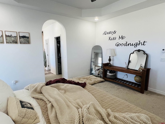 carpeted bedroom featuring a spacious closet