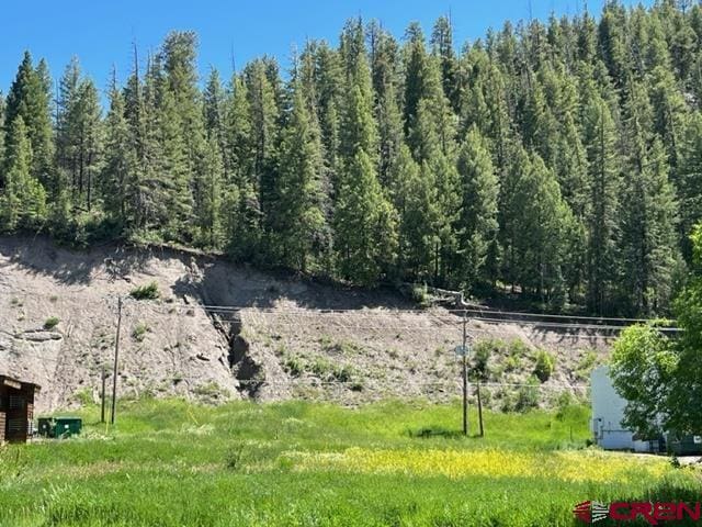 351 E Pagosa St, Pagosa Springs CO, 81147 land for sale