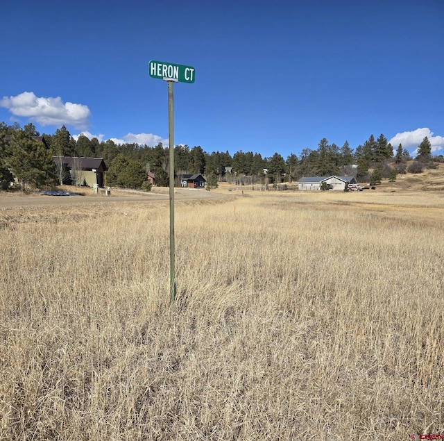 Listing photo 2 for 38 Heron Ct, Pagosa Springs CO 81147