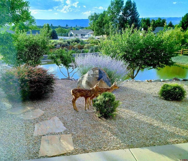 view of water feature