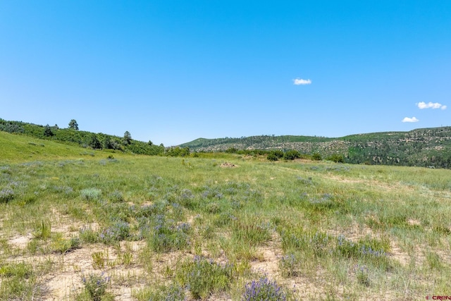 8350 Rd 46, Mancos, CO 81328