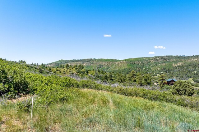 8350 Rd 46, Mancos, CO 81328