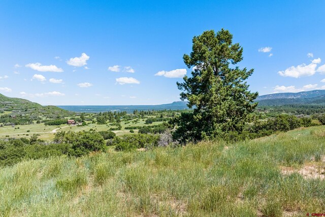 8350 Rd 46, Mancos, CO 81328