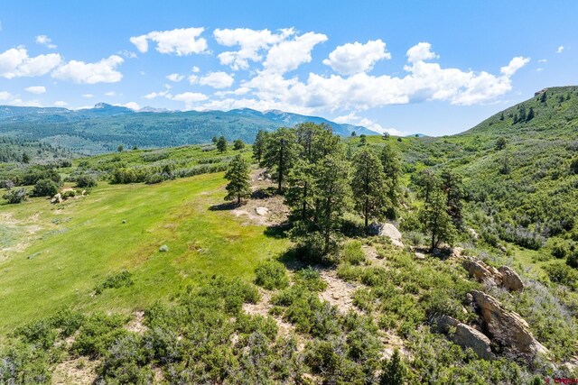 8350 Rd 46, Mancos, CO 81328