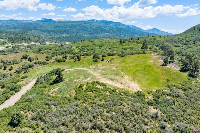 8350 Rd 46, Mancos, CO 81328