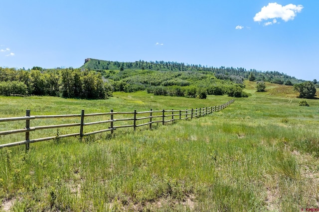 8350 Rd 46, Mancos, CO 81328