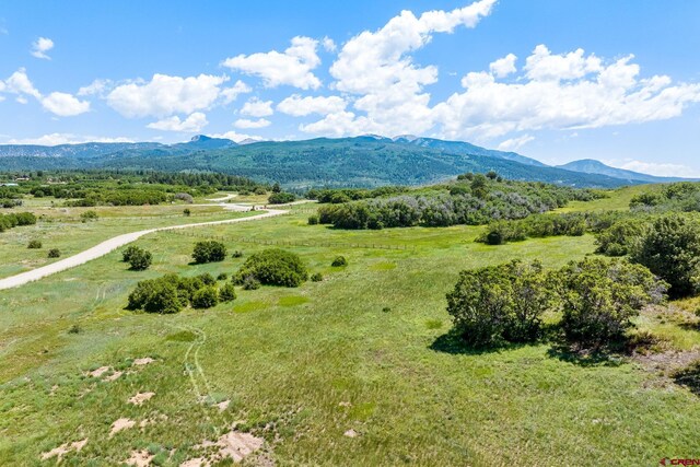 8350 Rd 46, Mancos, CO 81328