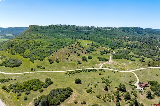 8350 Rd 46, Mancos, CO 81328