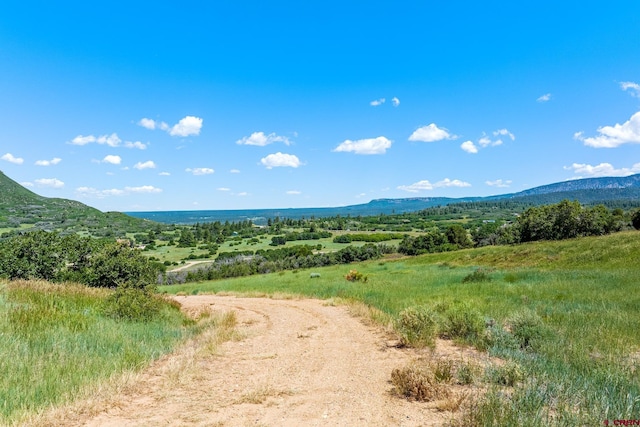 8350 Rd 46, Mancos, CO 81328