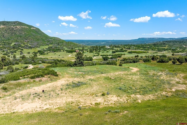 8350 Rd 46, Mancos, CO 81328